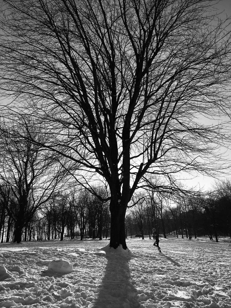 Projet 52 - En Solitaire #1