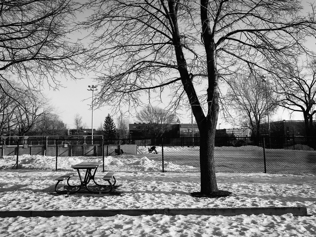 Projet 52 - En Solitaire #3